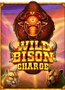 สำรวจทาง เข้า เกม slotxo ทดลองเล่นเกมอย่างจุใจ